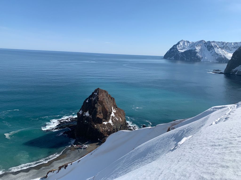 Heliskiing directly to the Beach